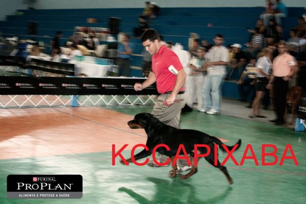 Clique sobre a foto para fechar